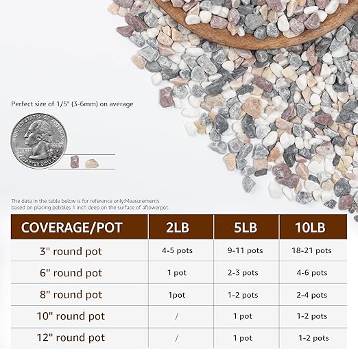 Natural Mixed Color Pea Gravel Pebbles, 2lbs (1/5 Inch) Decorative Stones for Succulents, Indoor Plants, Vases, Aquariums, Top Dressing, and Outdoor Landscaping