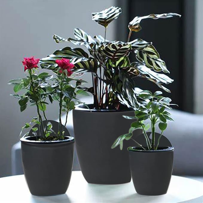 HOSTIC 7 Packs Lazy Flower Pots Shelf Water Planter Pot of Walls Self Watering Flowerpot with Hooks Suitable for Indoor and Outdoor Black