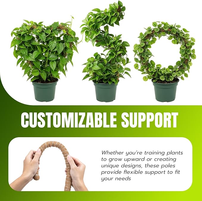 Mcbazel 2 Pack 63Inch Moss Pole for Plants Monstera, Plant Support Stick, Bendable Moss Poles Plant Support Stick for Climbing Plants, Stick Support Stake Kit for Potted Plants,Pothos,Philodendron