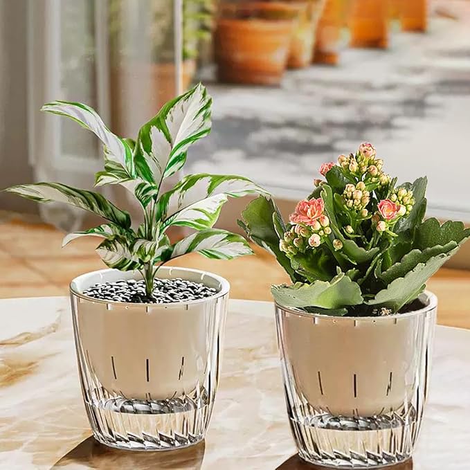 2 Pack 6 Inch Self Watering Pots for Indoor Plants, Self Watering Planter with Reservoir and Wick Rope, Clear Flower Plant Pots for African Violets,Succulents,Herbs,Cactus,Orchids