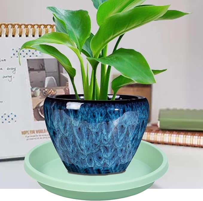 Plastic Plant Saucer 10 Inch Round Pack of 5 Plant Saucers Thickened Reusable Drip Trays for Flower Pots