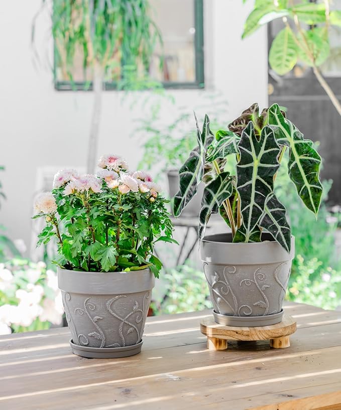 Melphoe Plant Pots Indoor with Drainage & Saucer, 2Pack 8 inch Flower Pots Outdoor Planters for Indoor Plants Garden Home Decor Cactus Succulent, Rigid Plastic (Imitation-Terracotta) Vine-Embossed