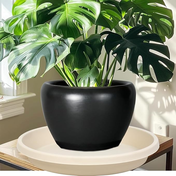 Plant Saucer 12 Inch Round 5 Pack Heavy Duty Plant Saucers Plastic Reusable Drip Trays for Flower Pots
