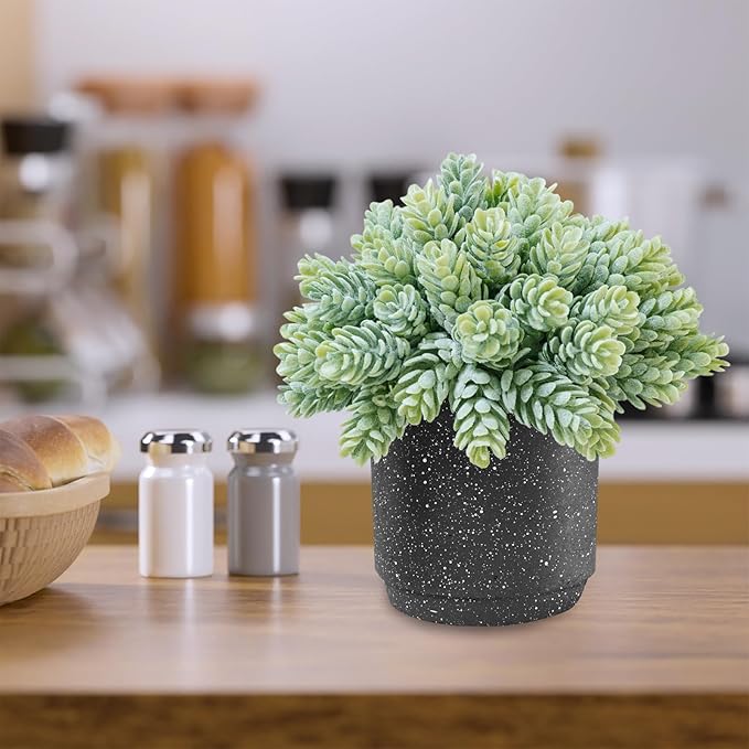 Winlyn 3-Pack Artificial Potted Succulent Plants - Aloe, Hops, String of Pearls - Realistic Faux Plants in Black Cement Pots - Modern/Contemporary Style - Ideal for Home Office Bathroom Indoor Decor