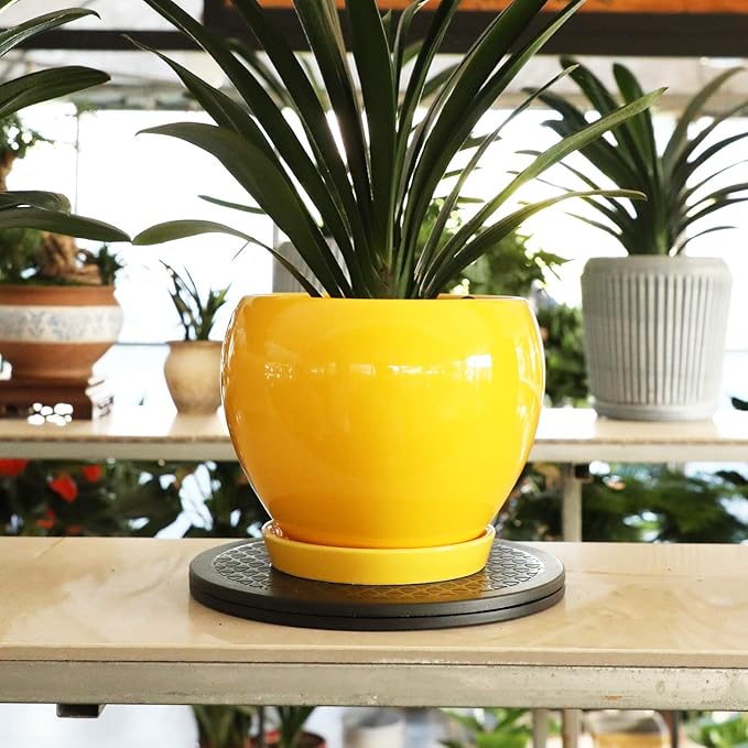 10" Bonsai Turntable Heavy Duty Rotating Garden Swivel Stand for Easy Trimming and Displaying Potted Plant