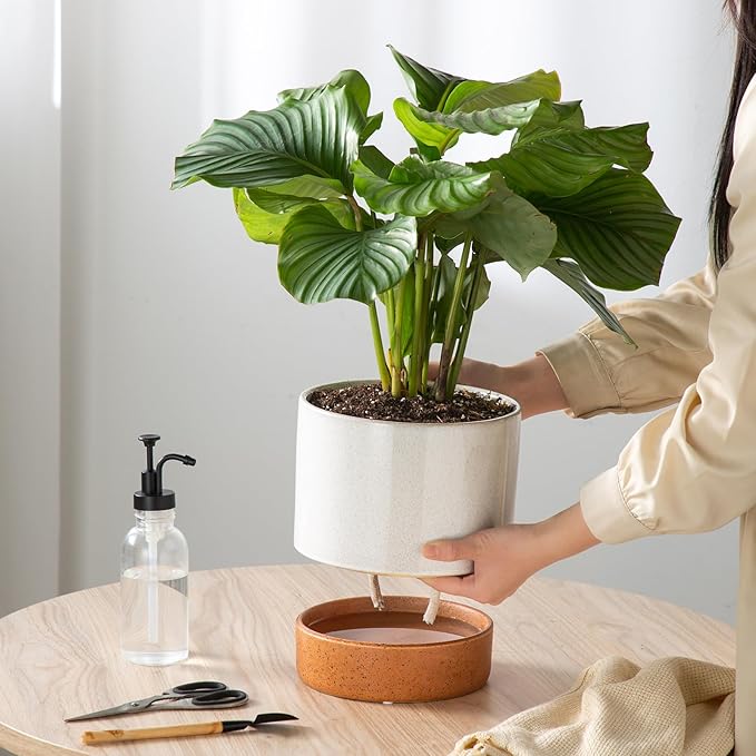 Self Watering Ceramic Planter: 8 Inch Plant Pot with Drainage Hole & Water Storage Plus for Outdoor & Indoor Plants, Succulents, Herbs - Flower Pot for Home or Office Decor - Retro Grey