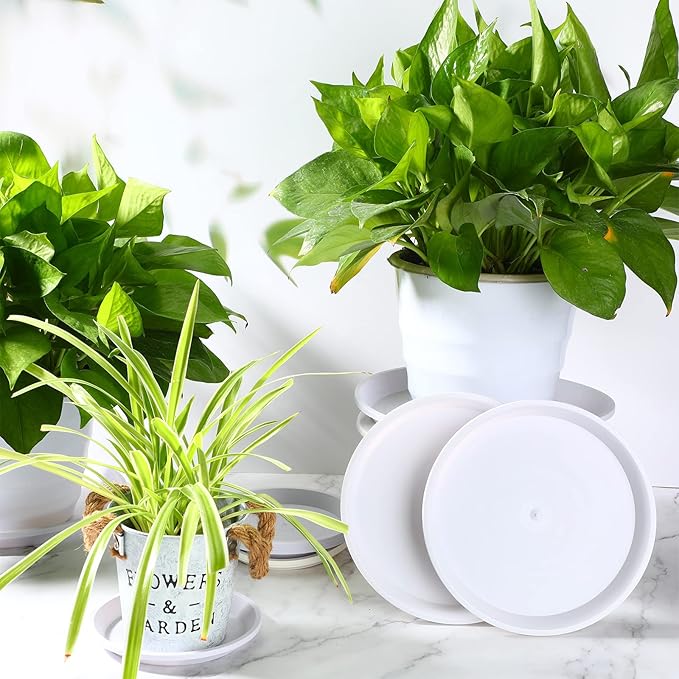 Patelai 10 Pack Plant Saucer, 4/6/8 Inch Plant Drip Trays for Pots, Flower Pot Saucers, Planter Drip Tray for Home Garden Indoor and Outdoor Planter Water Drainage Protection