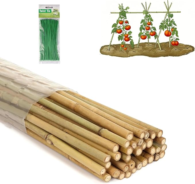 4 Ft Bamboo Stakes with 100 Twist Ties Natural Bamboo Garden Stakes for Tomatoes Cucumber Grapes Pole Beans Trees Potted Dahlia Flowers and Climbing Plants - Pack of 25