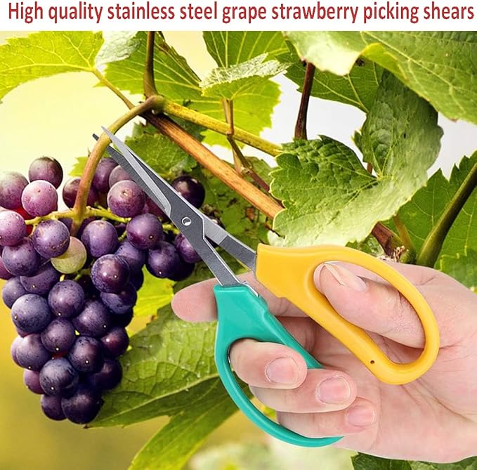 Garden Scissors, Stainless Steel Garden Bonsai Pruning Shears, Anti-Slip Softgrip SnipGardening Tools Garden Shears for Plants Herb (3 PCS)