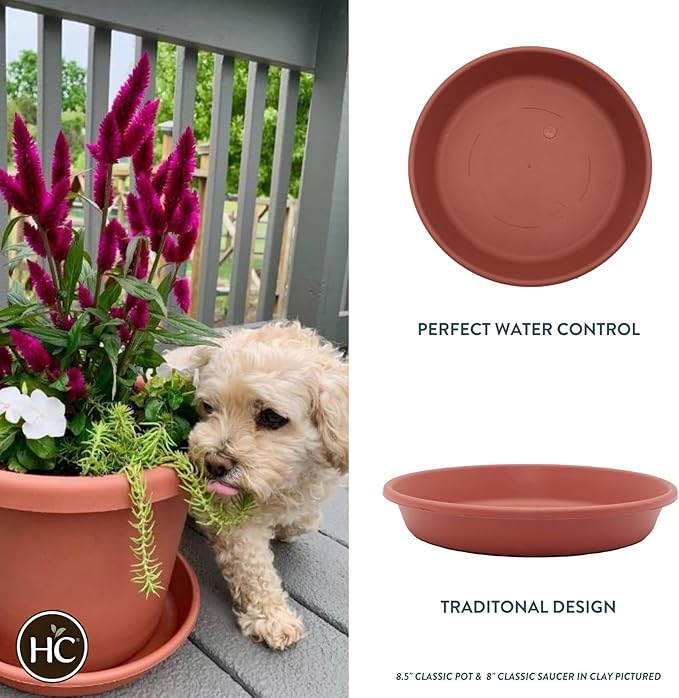 The HC Companies Round Classic Saucer, 14", Clay