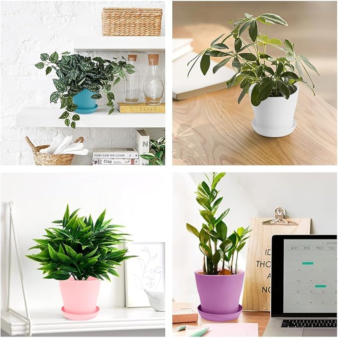 OALCQ 4 inch Plant Pots - 10 Pcs Small Flower Pots for Indoor Succulents & Herbs - Cute Plastic Pots in 5 Colors