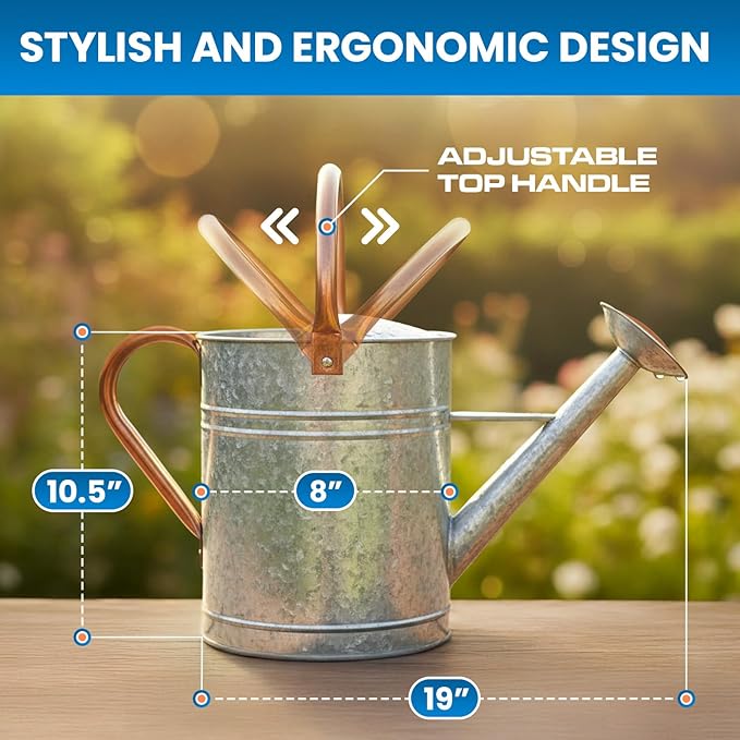 Plexon Large Metal Watering Can Outdoor 2 Gallon, Plant Flower Gardening Garden Watering Can Pot, Bronze Galvanized Steel Handles and Removable Spray Spout, Silver