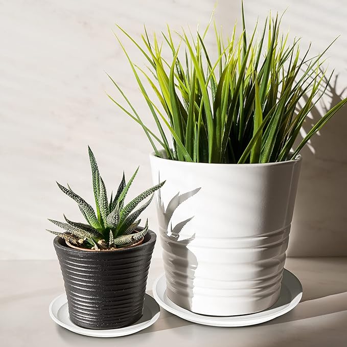 Patelai 10 Pack Plant Saucer, 4/6/8 Inch Plant Drip Trays for Pots, Flower Pot Saucers, Planter Drip Tray for Home Garden Indoor and Outdoor Planter Water Drainage Protection