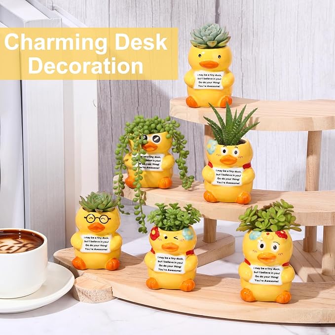 Roshtia 6 Pack 2.5 Inch Duck Ceramic Succulent Planter Pots with Drainage Hole, Mini Cute Flower Pots Container for Home Office Garden Decoration Emotional Support Buddies Christmas Housewarming Gifts