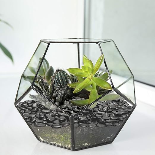 10lb Black Small Decorative Pebbles - Gravel River Rock,Natural Polished Decorative Stones 3/8" Gravel Size,Pebbles Gravel for Bamboo Plants,Succulent,Home Decor,Landscaping,Vase Fillers and More.
