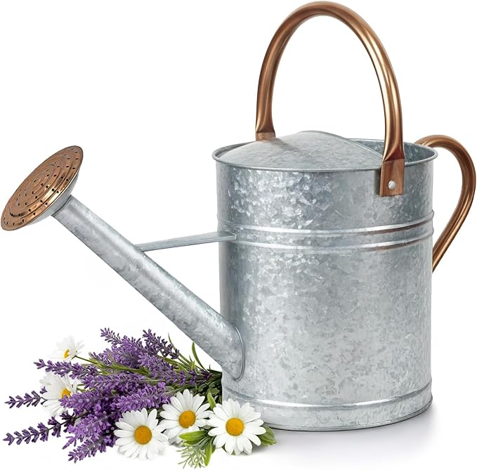 Plexon Large Metal Watering Can Outdoor 2 Gallon, Plant Flower Gardening Garden Watering Can Pot, Bronze Galvanized Steel Handles and Removable Spray Spout, Silver