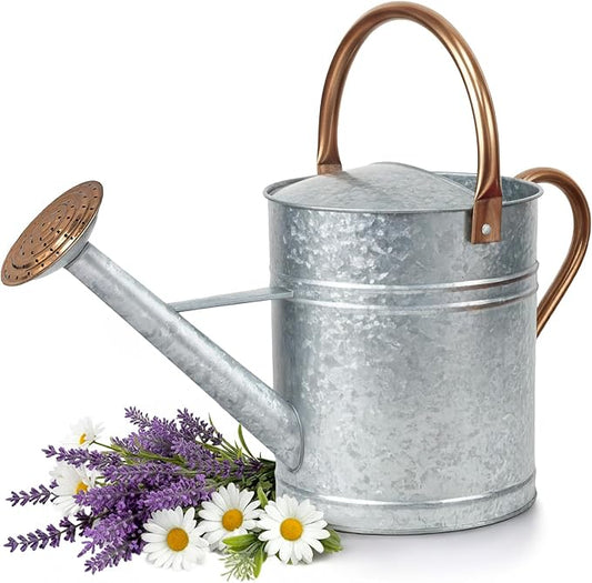 Plexon Large Metal Watering Can Outdoor 2 Gallon, Plant Flower Gardening Garden Watering Can Pot, Bronze Galvanized Steel Handles and Removable Spray Spout, Silver