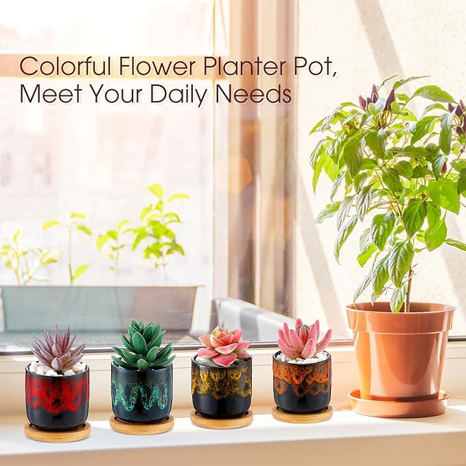 12 Pcs Succulent Pots 2.5 Inch Mini Ceramic Succulent Garden Flower Pots Planters with Drainage and Bamboo Tray for Indoor Garden Plants Planters Colorful Flower Pot(Cylindrical,2.3 Inch H)