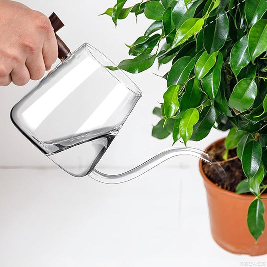 Watering Can Indoor Plants, 27 OZ Glass Watering Can, Long Curved Spout, Suitable for Indoor Plants, Bonsai Garden Flower Decoration