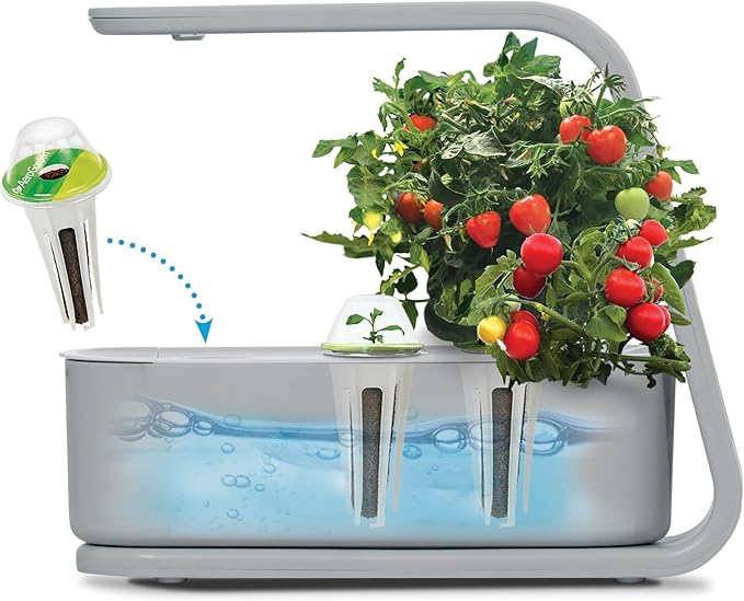AeroGarden Sprout with Gourmet Herb Seed Pod Kit - Indoor Garden with LED Grow Light, Cool Gray