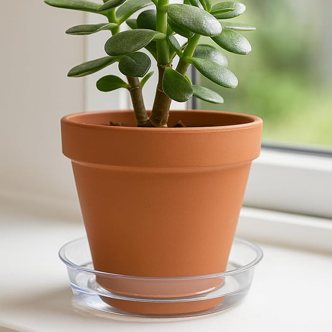 Curtis Wagner Plastics Drip Pan Plant Saucers (5-Pack) - Clear, Round (Diameter: 3" Base, 4" Top, 1.12" Depth) Thin Plastic Planter to be Used as Indoor Pot & for Outdoor Plant Pots