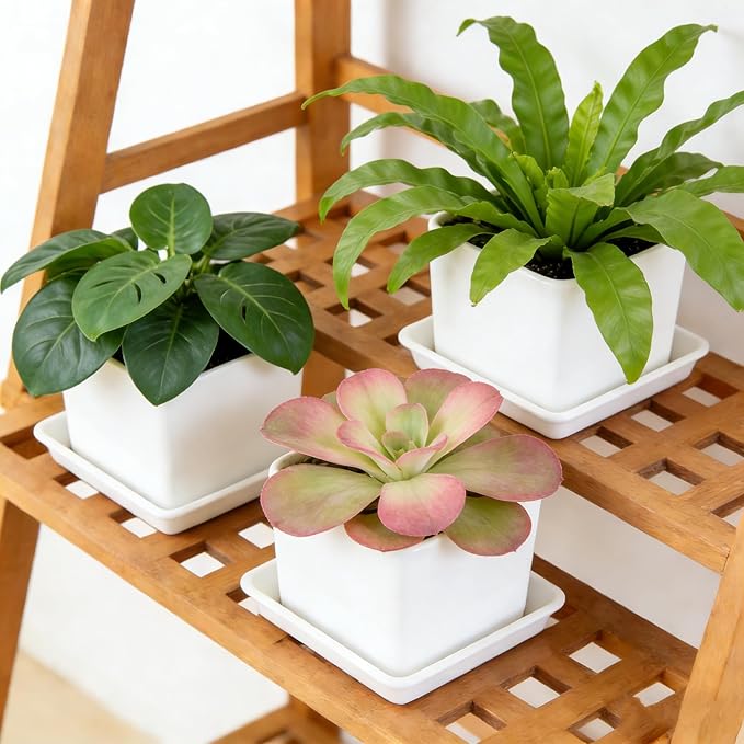 10pcs Plastic 6" Square Plant Saucer Drip Tray Indoors Outdoors Flower Pot Tray