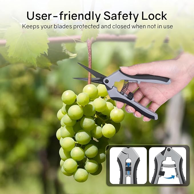 6.5" Ultra Sharp Pruning Shears - Professional Garden Scissors with Curved Stainless Steel Blades, Ergonomic Handle, Rust Resistant, Safety Lock, Trimming Scissors for Plants in Grow Tents,1-Pack
