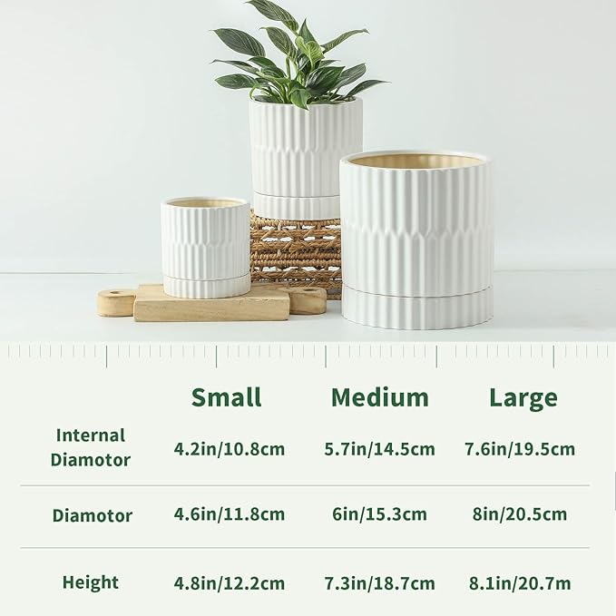 HASENSE Ceramic Plant Pots, 3-Pack (8/6/4.6 inch) Indoor Flower Planters with Vertical Ribbed Design, Drainage Holes & Saucers, Medium Cylinder Pots for Outdoor Plants, Modern White