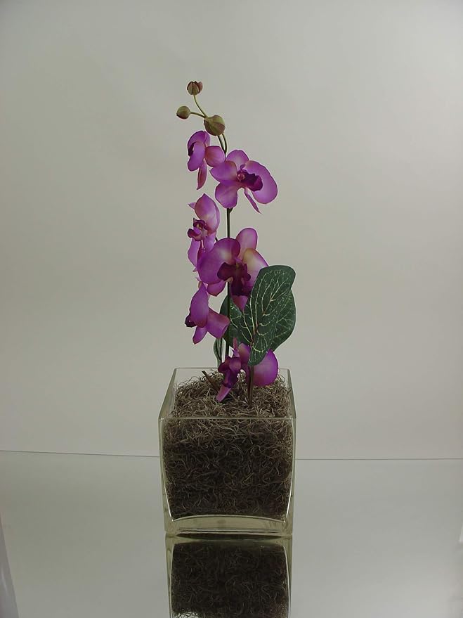 WGV Cube Glass Vase Bulk, Candle Holder, 6"x6"x6", Clear Elegant Floral Accent Container Planter Terrarium Storage for Wedding Party Ceremony Event Office Home Decor, 6 Pieces