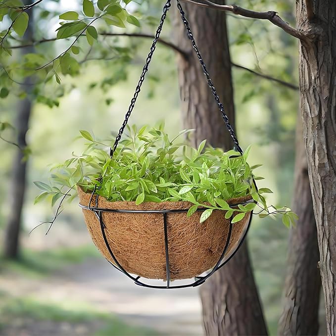 LX7 3-Pack Hanging & Wall-Mounted Plant Baskets with Natural Coconut Fiber Liner, Decorative Planters for Home Garden Patio Yard (3Pack FlatHanger, 10Inch)