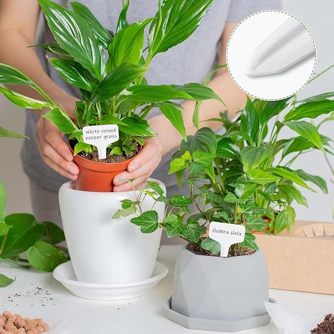 Oligei Plant Labels 120 PCS, T-Type Plant Tags with Marking Pen, 6 x 10 CM White Plastic Plant Markers for Nursery, Garden, Seedlings, Flower Vegetables, Herb