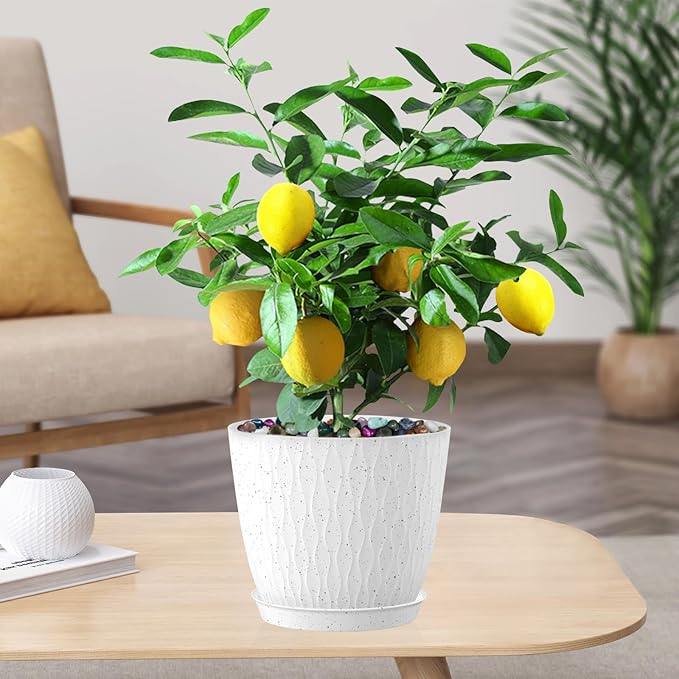 5 Pack 6 inch Flower Pots for Indoor Plants Planters for Outdoor Plants Decorative Home Garden Holiday Nursery Pot, Cute Plant Pots with Drainage Holes and Saucers White with Black Speckled