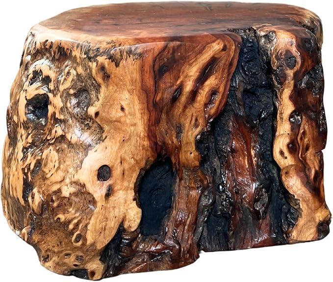 THY COLLECTIBLES Natural Tree Trunk Stump Stool with Live Edge Solid Wood Plant Stand, Stool, Garden Bench, Side Table, End Table (D11in x H6in)