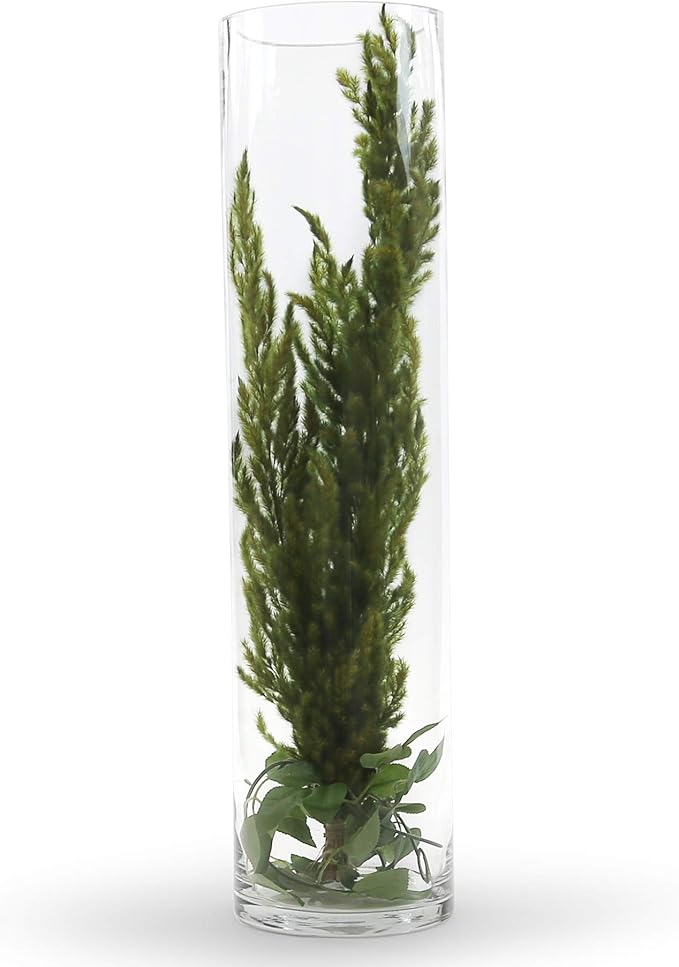 WGV Cylinder Vase, Width 6", Height 20", Clear Glass Container Terrarium Candle Holder for Wedding Centerpiece, Party Event, Home Office Decor, 1 Piece