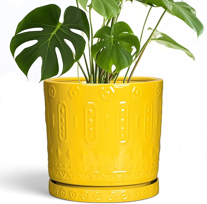 Ceramic Pots for Plants, 10 Inch Plant Pot with Drainage Holes and Tray, Round Planter for Indoor Outdoor Plants, Modern Decorative Flower Pots, Office Decor, Birthday Gift for Women, Yellow