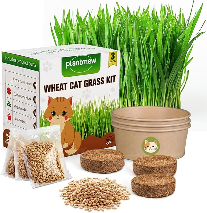 Cat Grass Kit for Indoor Cats, 3 Pack Fast Growing Cat Grass Kit with Eco-Friendly Biodegradable Pots, Soil & Wheatgrass Seeds, Grows in 3-7 Days with High Germination Rate