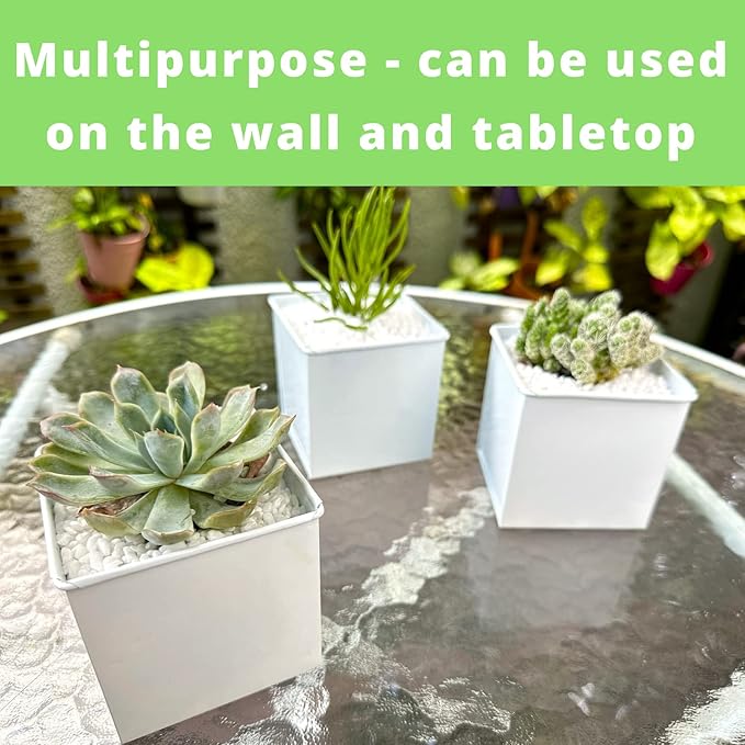 LaLaGreen Wall Planter - 6 Pack, 4 Inch Square Metal Wall Planter for Indoor Plants, Small White Wall Mounted Flower Pots Outdoor Herb Garden Decor, Balcony Railings Hanging Buckets Porch Patio