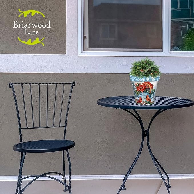 Briarwood Lane Winter Planter 8.5" x 8.5" x 8.5" Winter Watering Can Small for Winter Planter