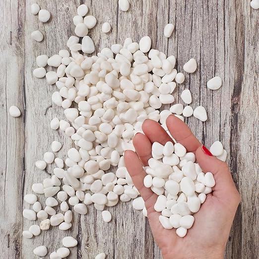 River Rocks Decorative Ornamental Vase Filler Aquarium Gravel White, Small 30 lbs - Landscaping Pebbles for Indoor Plants, Fish Tank, Terrarium & Home Decor, DIY & Crafting – Royal Imports