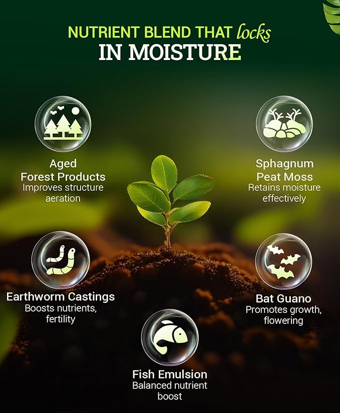 FoxFarm Ocean Forest Potting Soil, 12qt – Light, Aerated Texture, Designed for All Container Plants – pH Adjusted for Optimal Nutrient Uptake, Effectively Retains Moisture (12 Quart (3 Pack))