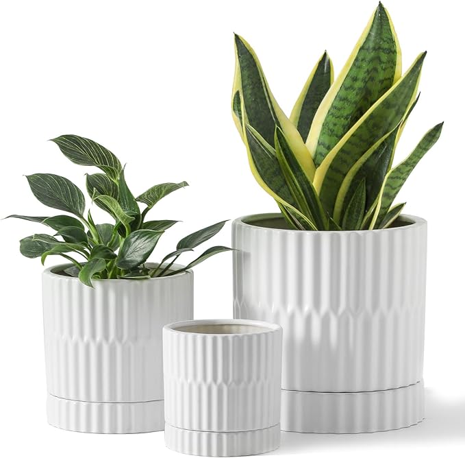 HASENSE Ceramic Plant Pots, 3-Pack (8/6/4.6 inch) Indoor Flower Planters with Vertical Ribbed Design, Drainage Holes & Saucers, Medium Cylinder Pots for Outdoor Plants, Modern White