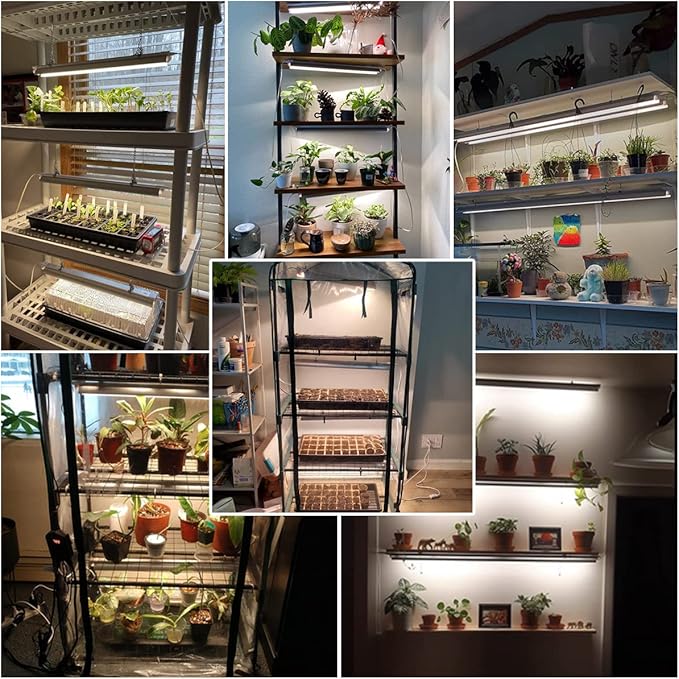 T5 LED Grow Lights, 204pcs Bulb 5000K White Full Spectrum Plant Light Strips for Indoor Plants, Shelves Greenhouse Seedling, End-to-End Connectable with V-Shaped Reflector