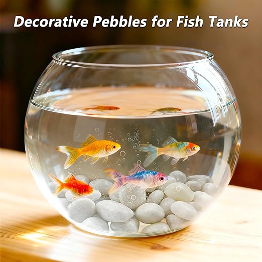 5LB White River Rocks, High Polished 1–2 inch Decorative Pebbles for Indoor Plants, Aquarium & Fish Tank Rocks, Garden Landscaping Stones, Vase Fillers, Lava Rocks for Plants & Pathway Decor