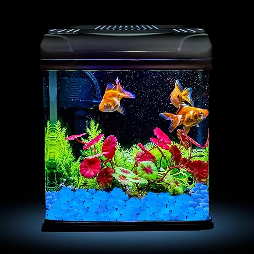 Glow in The Dark Rocks Outdoor, 200 pcs Blue Solar Rocks for Landscaping, Outdoor Decor Glow in The Dark Stones, Glowing Pebbles for Garden Backyard Patio Lawn Pond Fish Tank Aquarium Decor