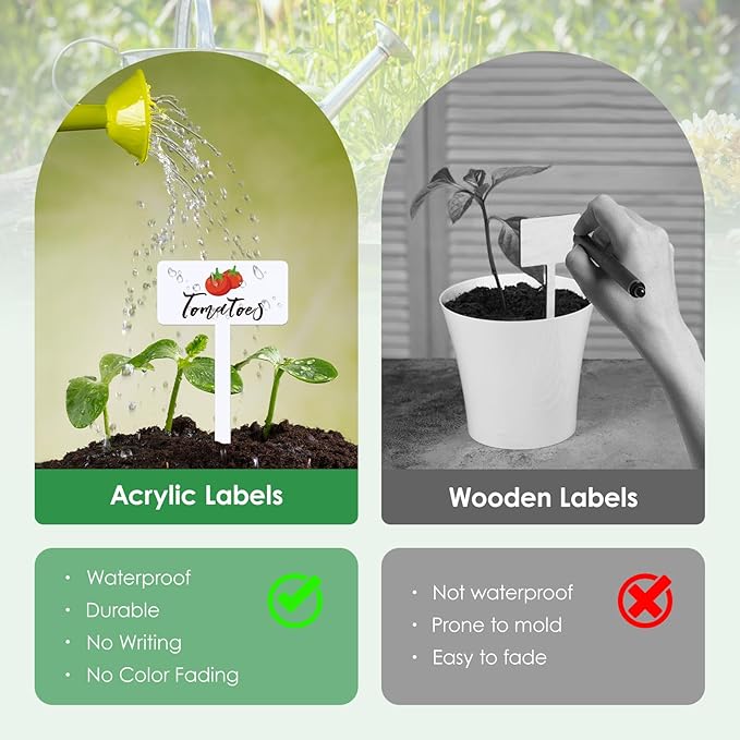 30 Pcs Acrylic Vegetable Labels Signs Waterproof Plant Marker Garden Stake Tags with Vegetable Name 15 Styles T-Type Markers Reusable for Nursery Indoor Outdoor Spring Garden Decoration