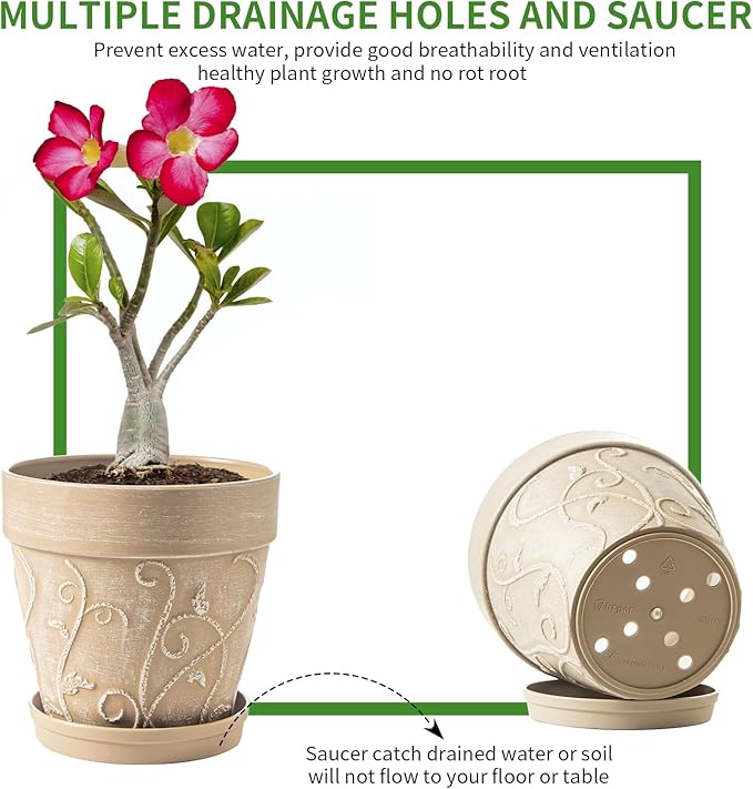 Melphoe Plant Pots Indoor with Drainage & Saucer, 2Pack 8 inch Flower Pots Outdoor Planters for Indoor Plants Garden Home Decor Cactus Succulent, Rigid Plastic (Imitation-Terracotta) Vine-Embossed