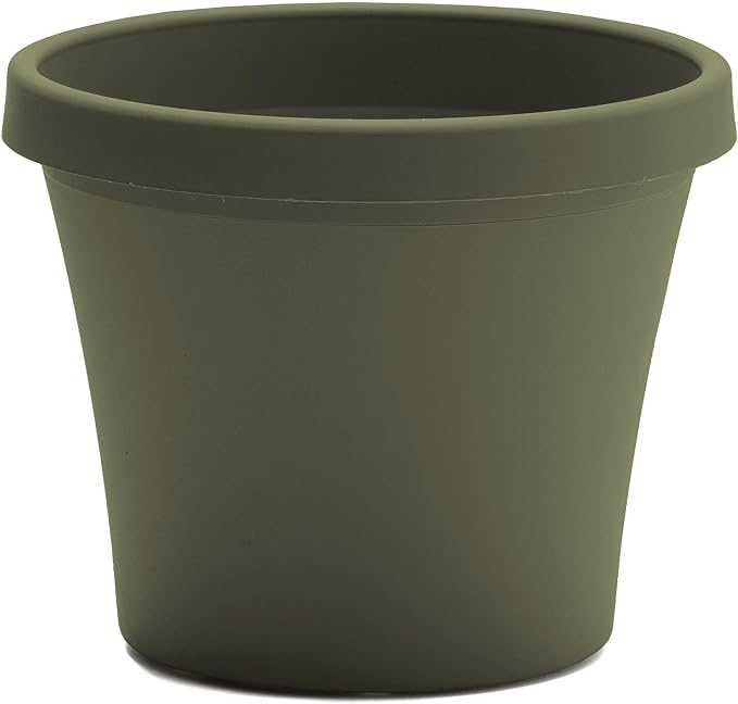 Bloem Terra 6" Diameter Round Living Green Resin Planter Pot with Drainage Holes for Indoor and Outdoor Gardening
