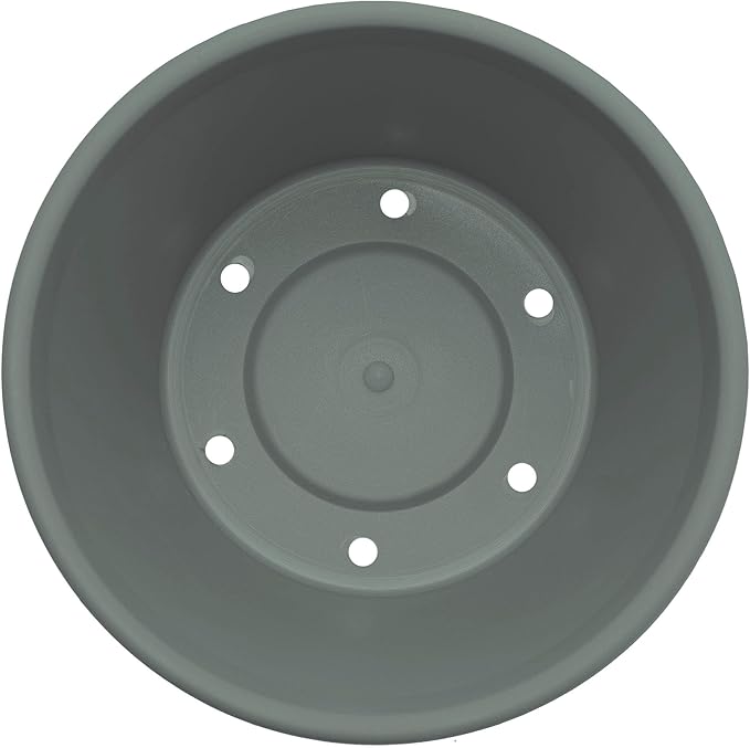 Bloem Terra 6" Diameter Round Basil Resin Planter Pot with Drainage Holes for Indoor and Outdoor Gardening