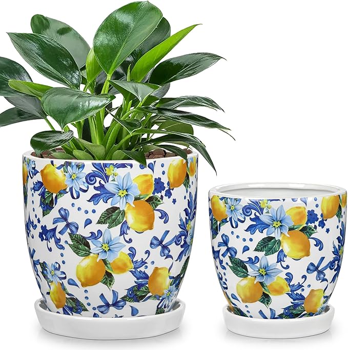 5.3+4.3 inch Ceramic Plant Pots, Set of 2 Blue and White Plant Pot with Drainage Holes and Saucers Small Lemon Indoor Planters Decorative Flower Pots for Succulents, Cacti, Snake Plants, and Herbs