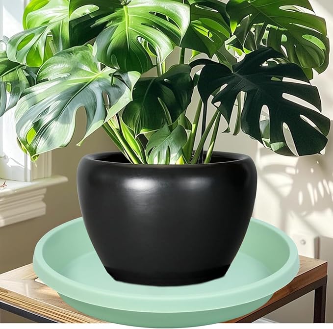 Plastic Plant Saucers 10 Inch Round Pack of 2 Thick Reusable Drip Trays for Indoor Outdoor Plants